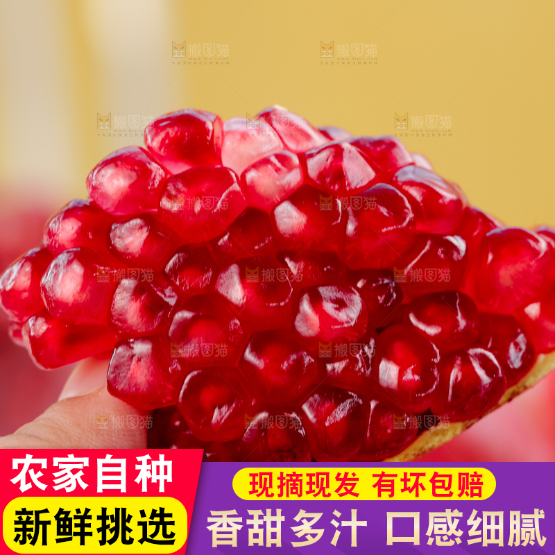 浅底上的盐水石榴
