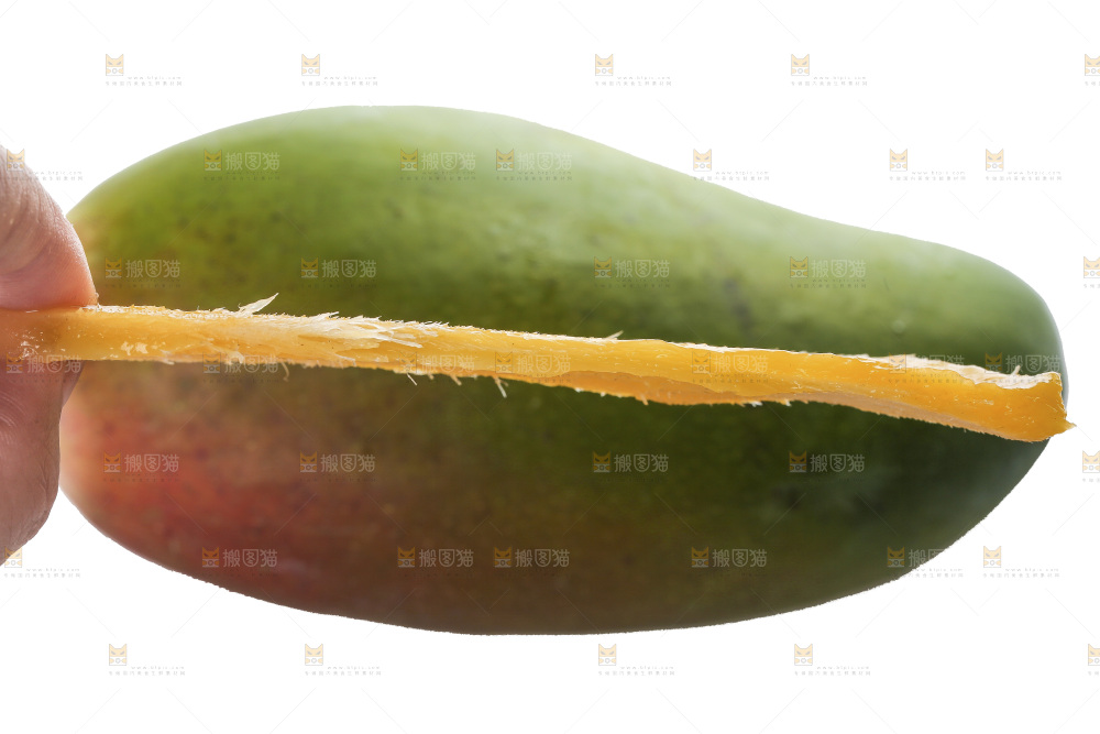 白底上的桂七芒