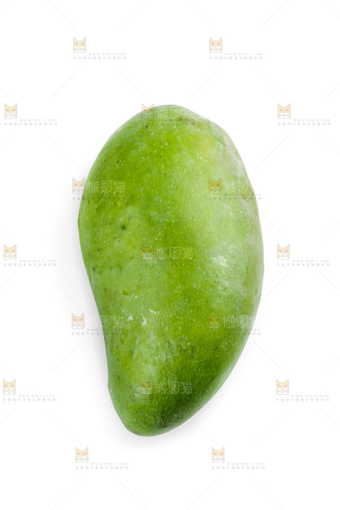 白底上的桂七芒
