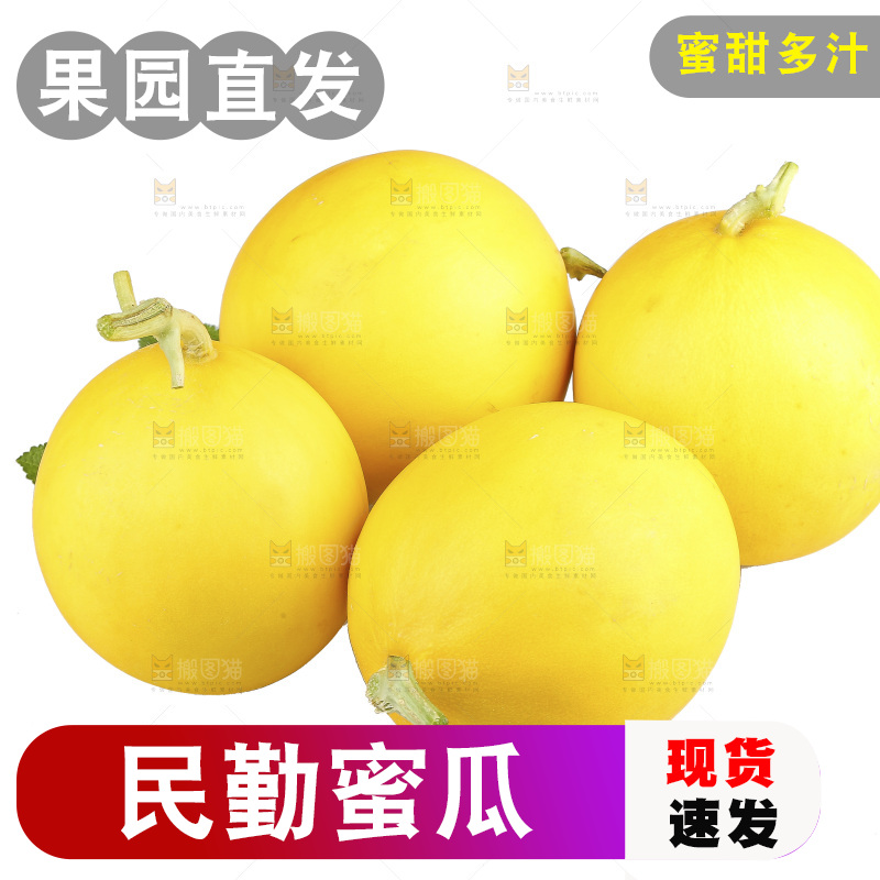 白底上的民勤蜜瓜