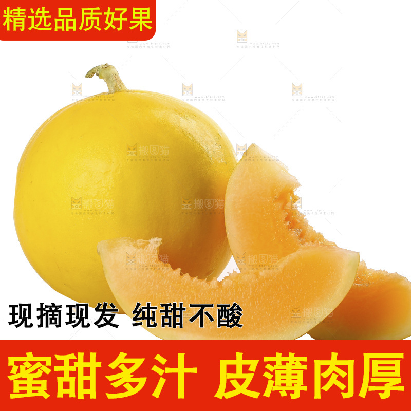 白底上的民勤蜜瓜