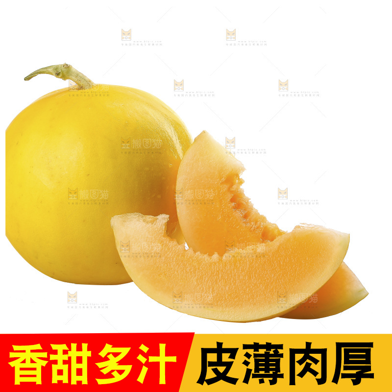 白底上的民勤蜜瓜