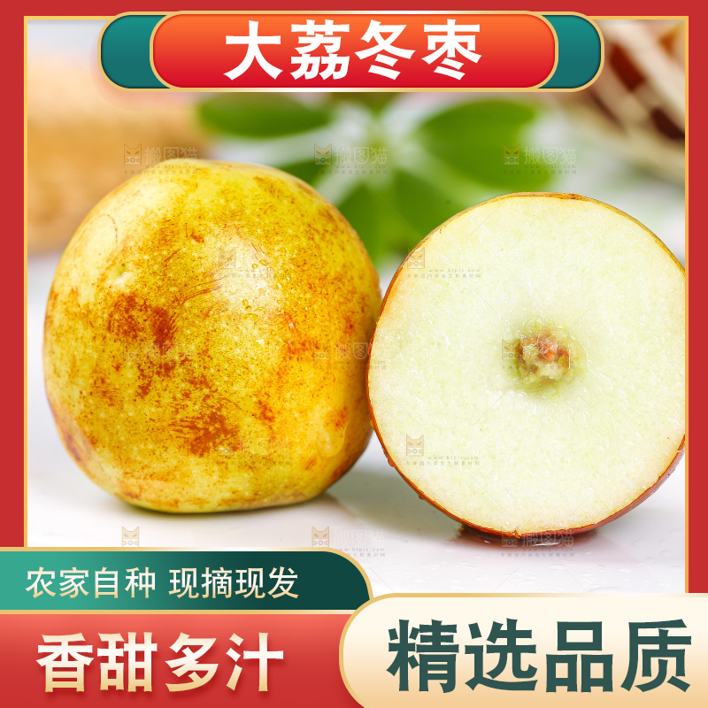 浅底上的冬枣