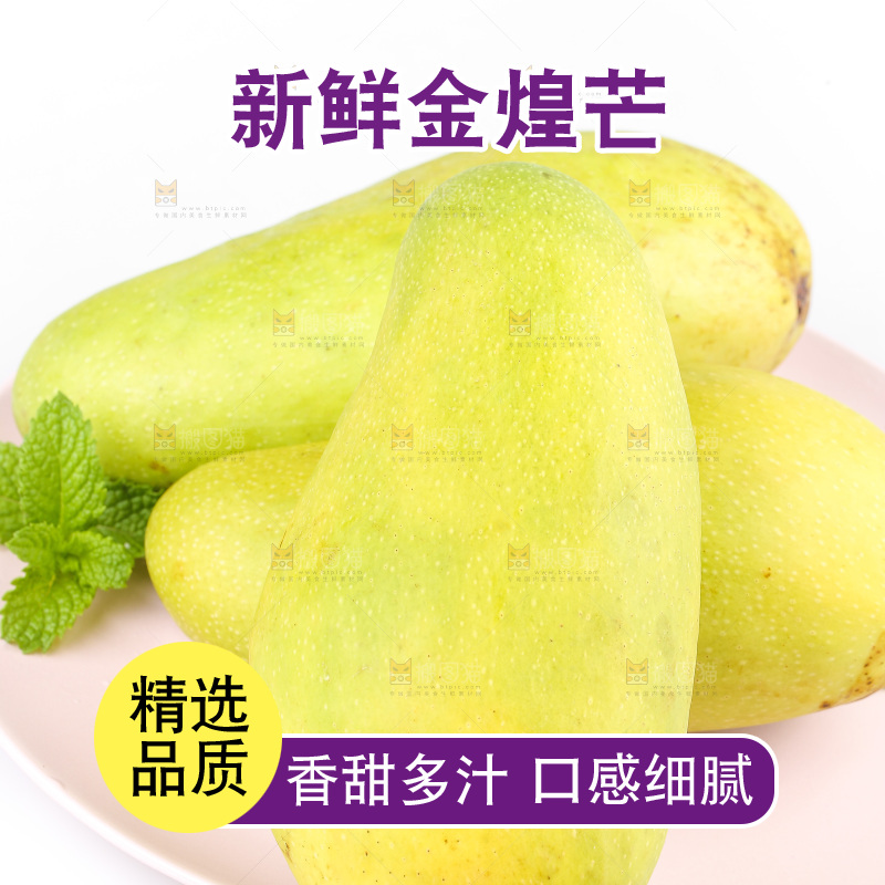 白底上的金煌芒