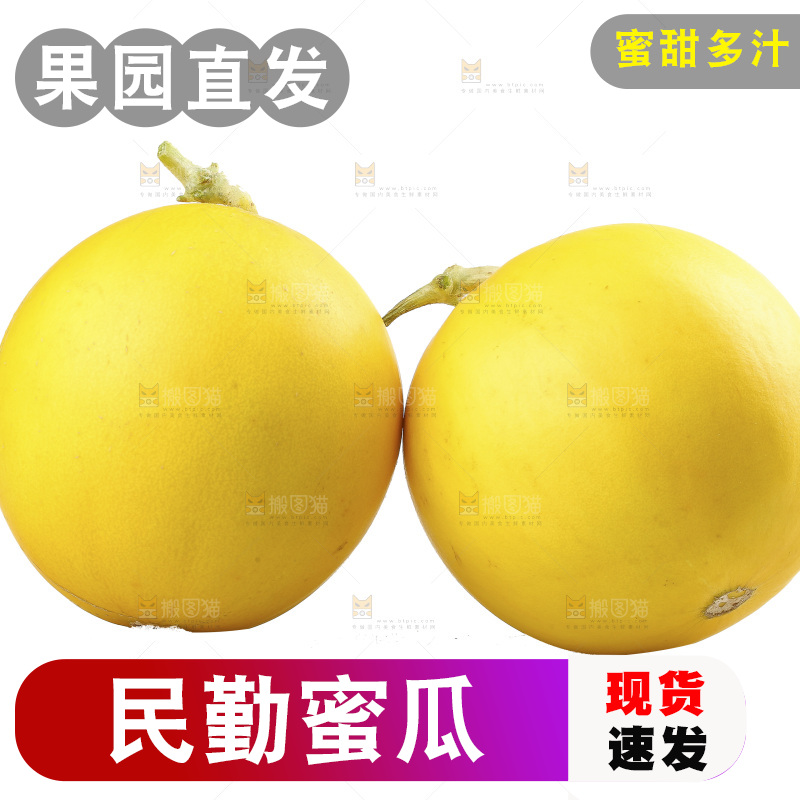 白底上的民勤蜜瓜
