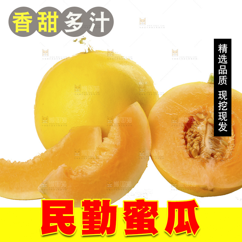 白底上的民勤蜜瓜