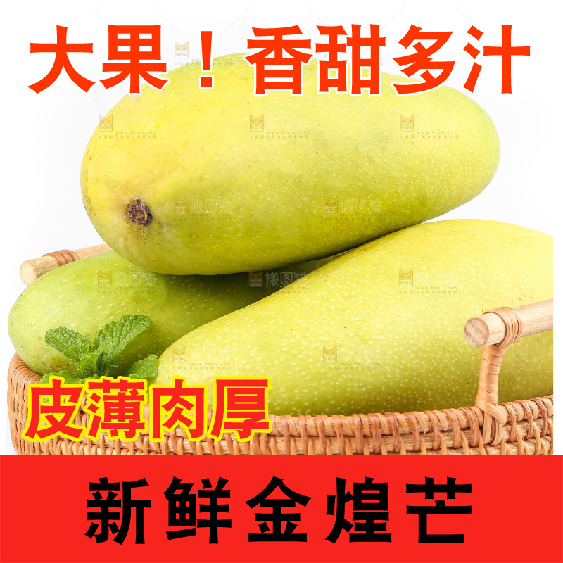 白底上的金煌芒