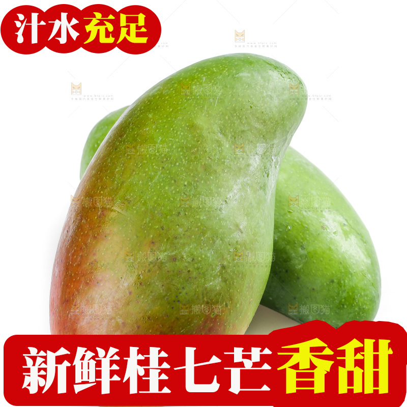 白底上的桂七芒