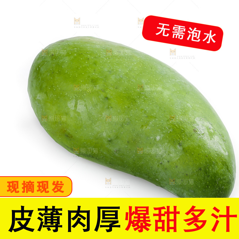 白底上的桂七芒
