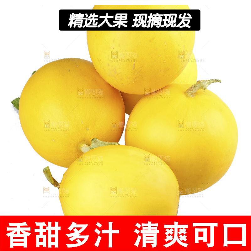 白底上的民勤蜜瓜