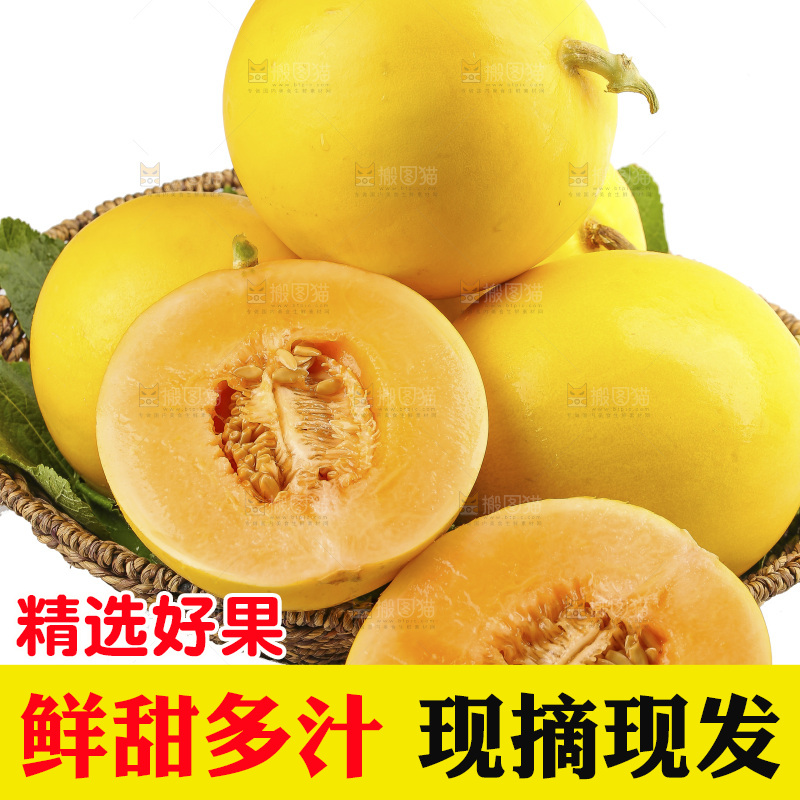 白底上的民勤蜜瓜