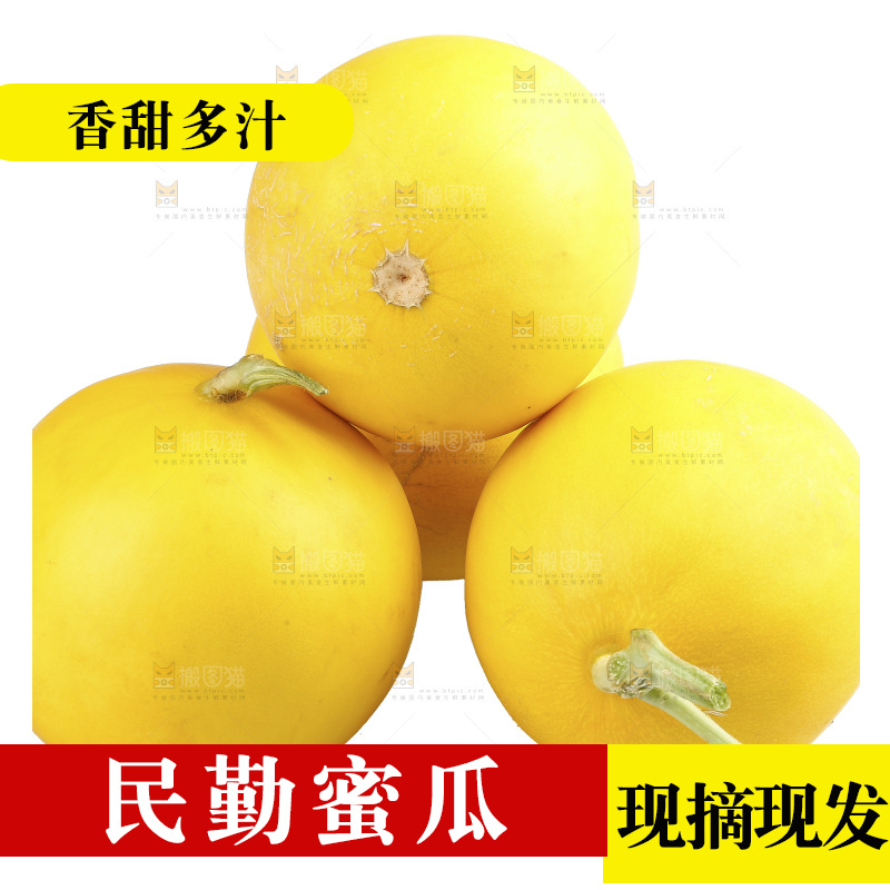 白底上的民勤蜜瓜