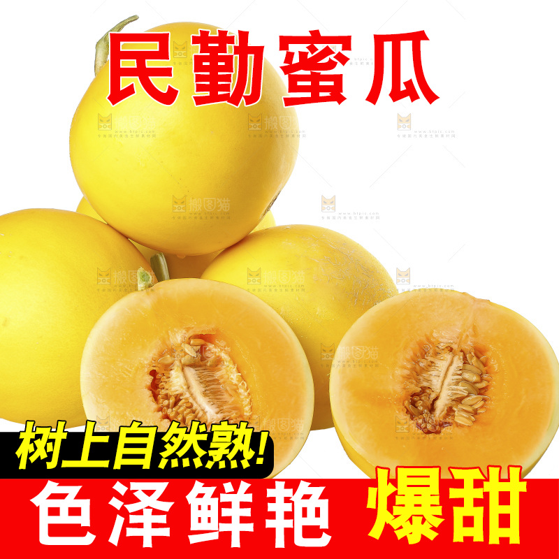 白底上的民勤蜜瓜