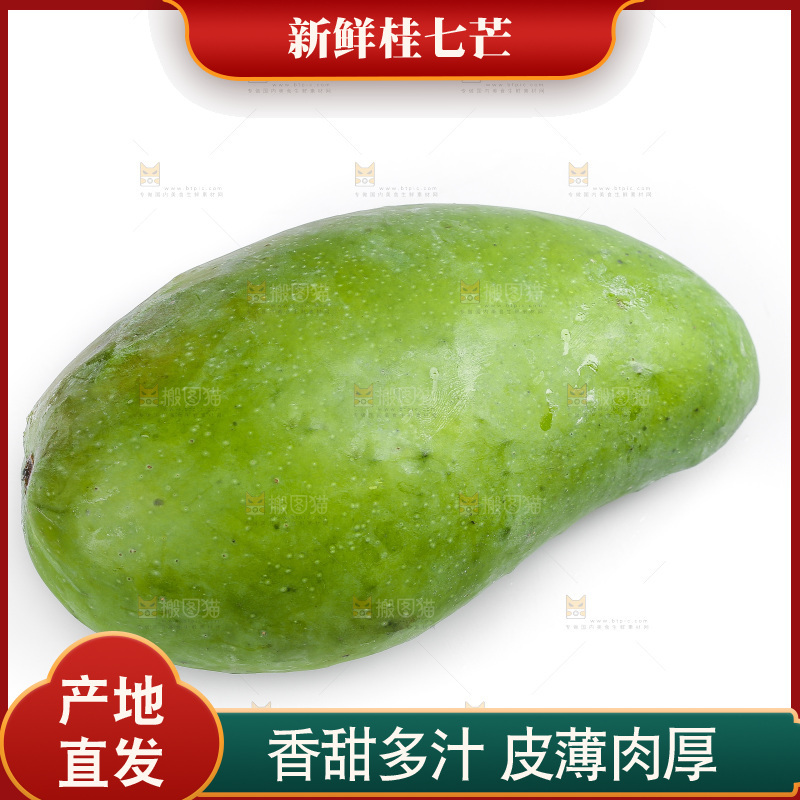 白底上的桂七芒