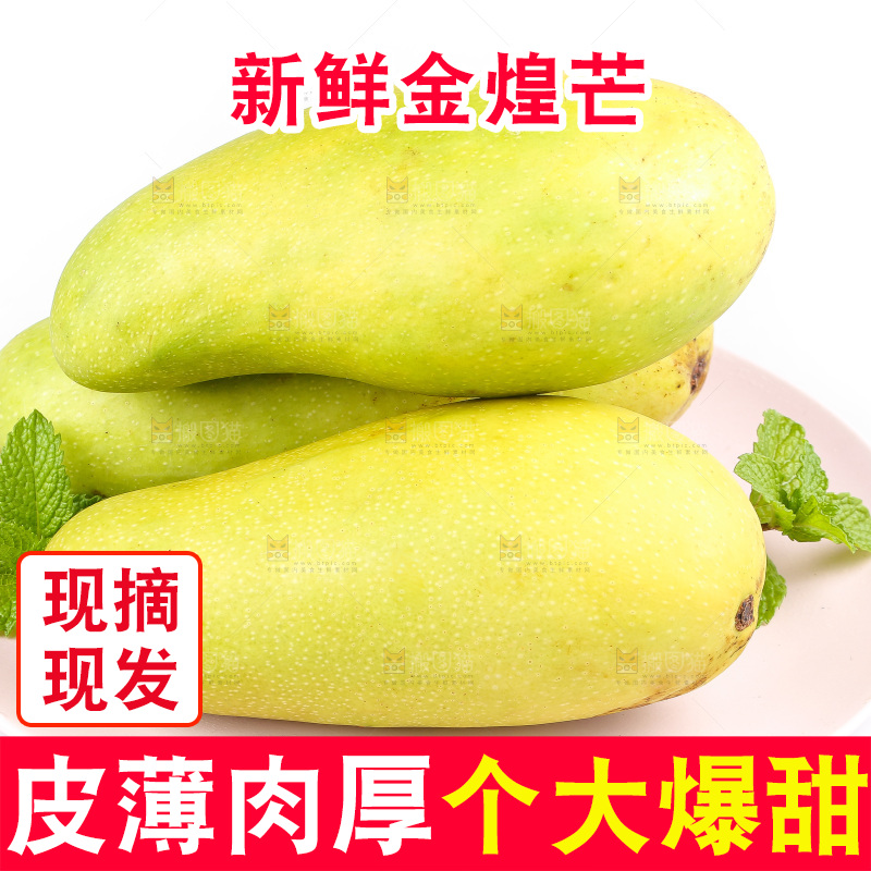 白底上的金煌芒