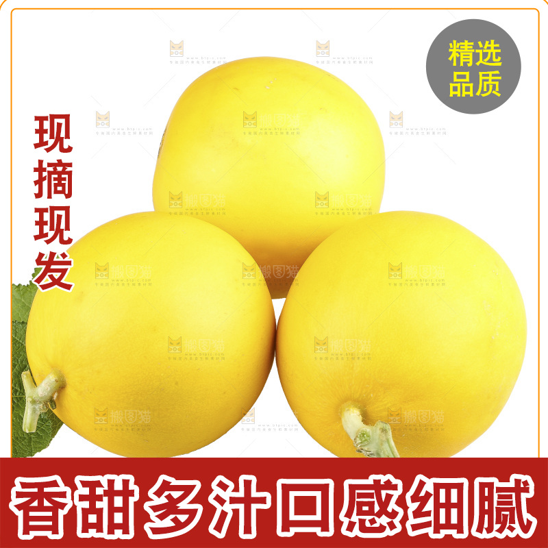 白底上的民勤蜜瓜