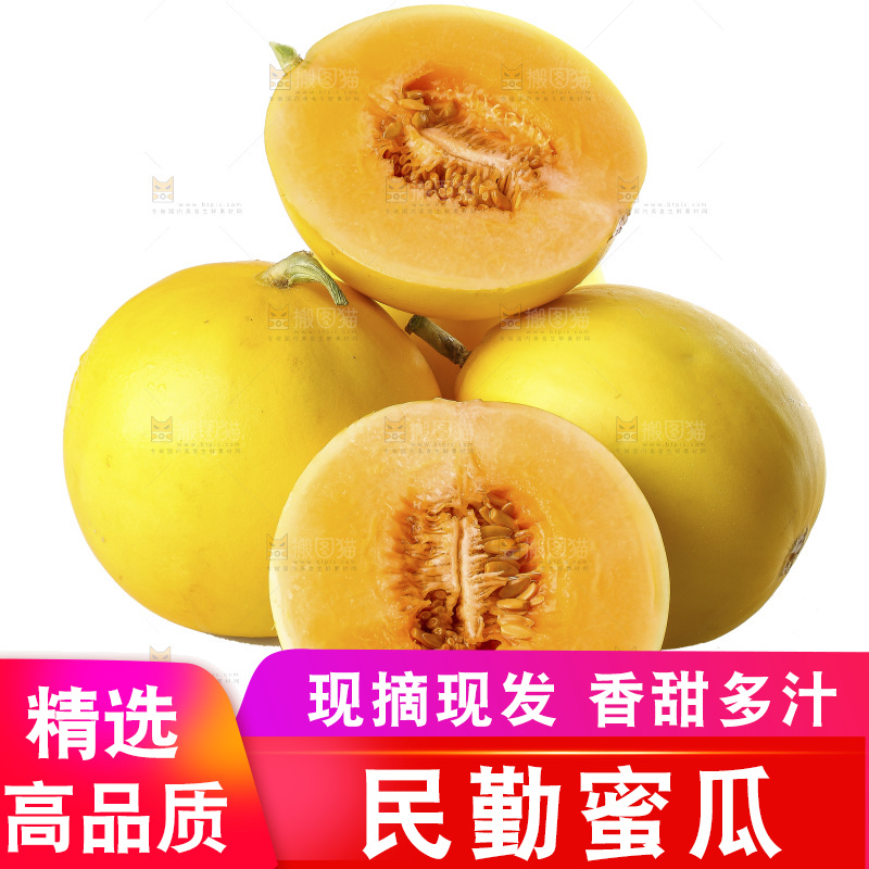 白底上的民勤蜜瓜