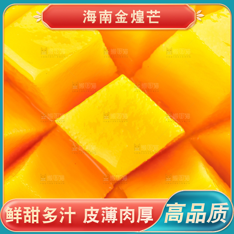 白底上的金煌芒