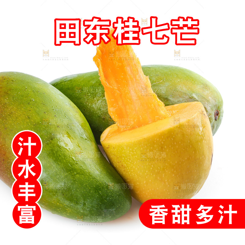 白底上的桂七芒