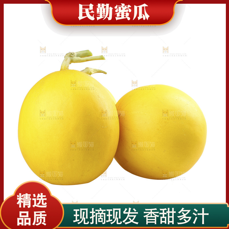 白底上的民勤蜜瓜