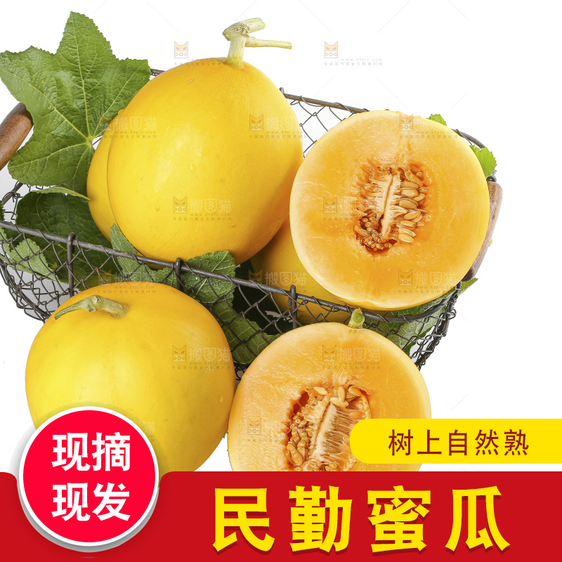 白底上的民勤蜜瓜