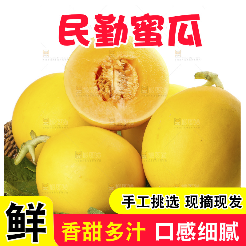 白底上的民勤蜜瓜