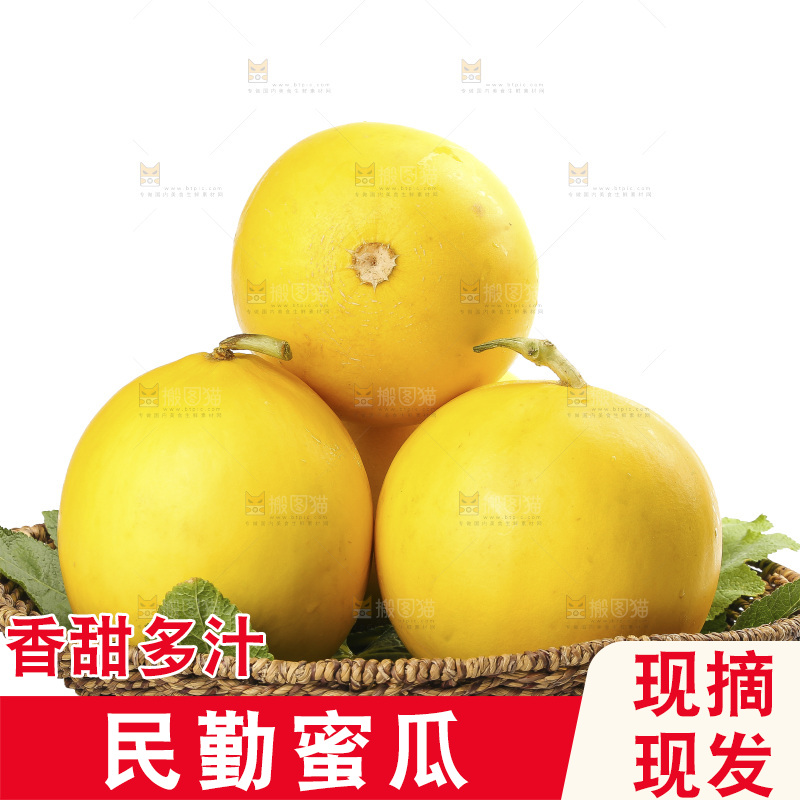 白底上的民勤蜜瓜