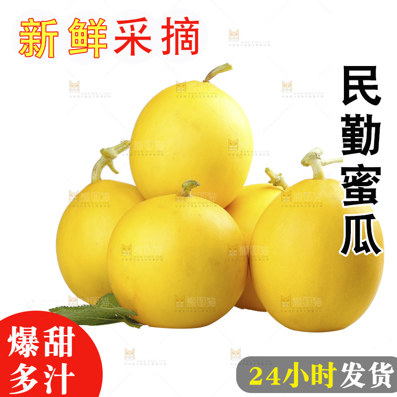 白底上的民勤蜜瓜