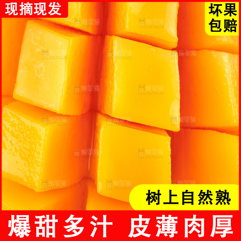 白底上的金煌芒