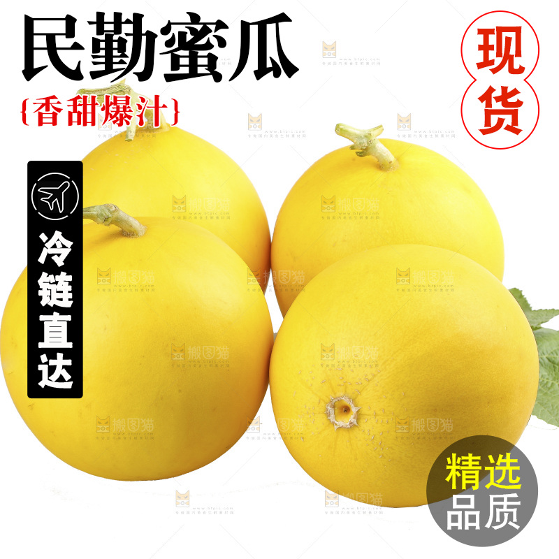白底上的民勤蜜瓜