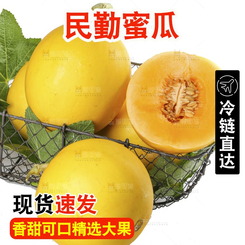 白底上的民勤蜜瓜