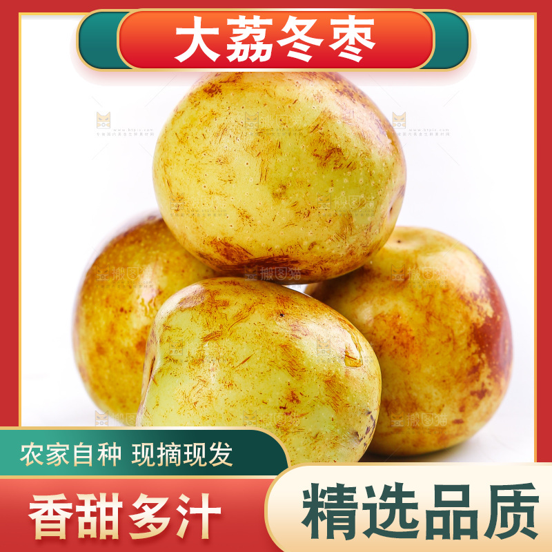 白底上的冬枣