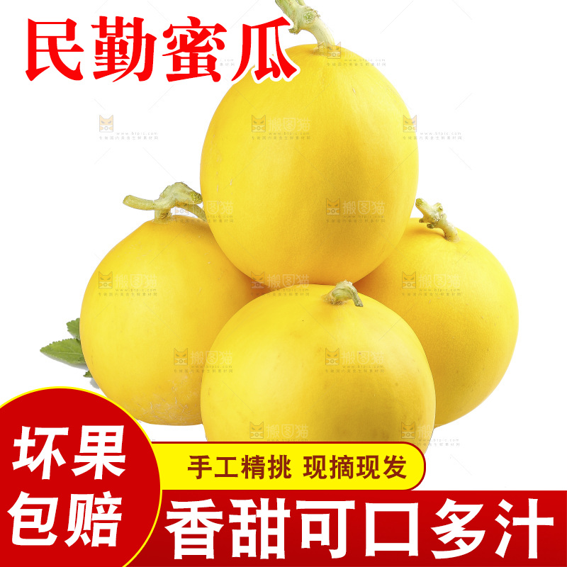 白底上的民勤蜜瓜