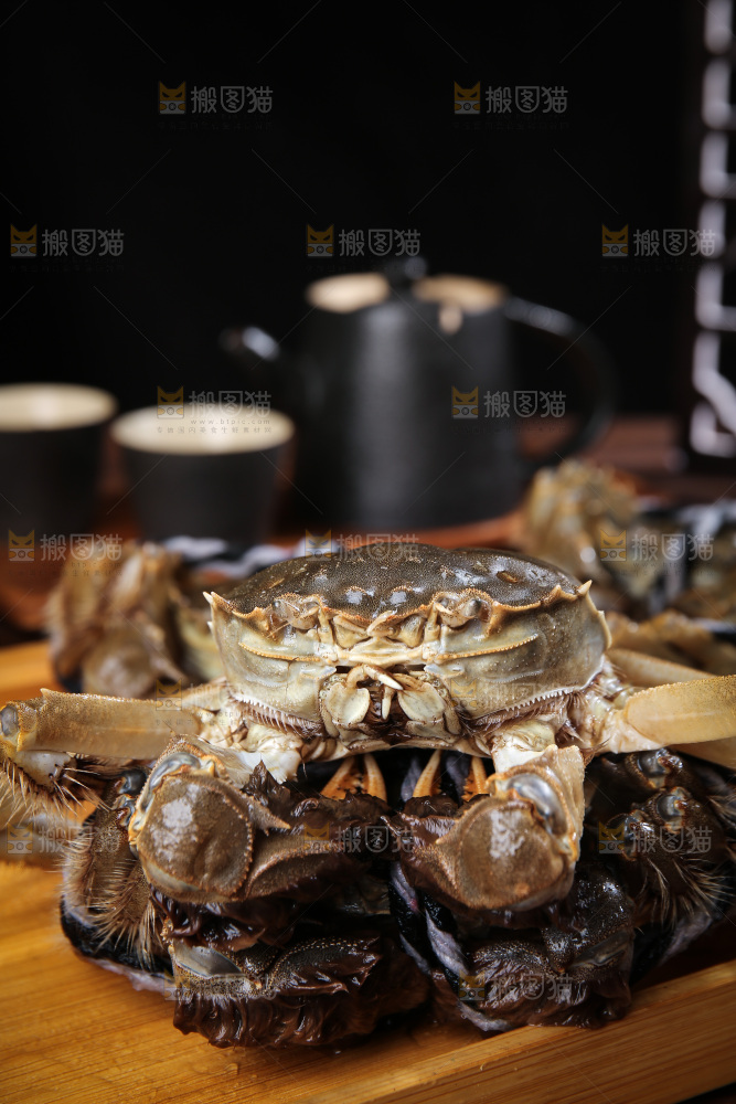 深底上的阳澄湖大闸蟹
