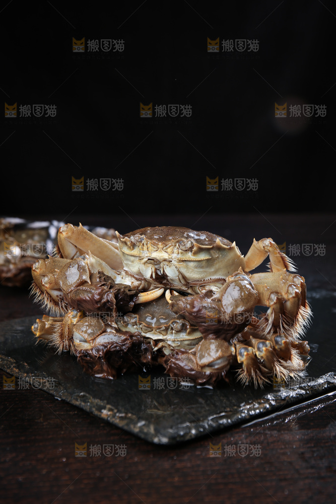 深底上的新鲜大闸蟹