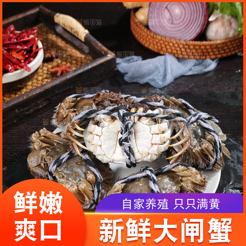 深底上的新鲜大闸蟹