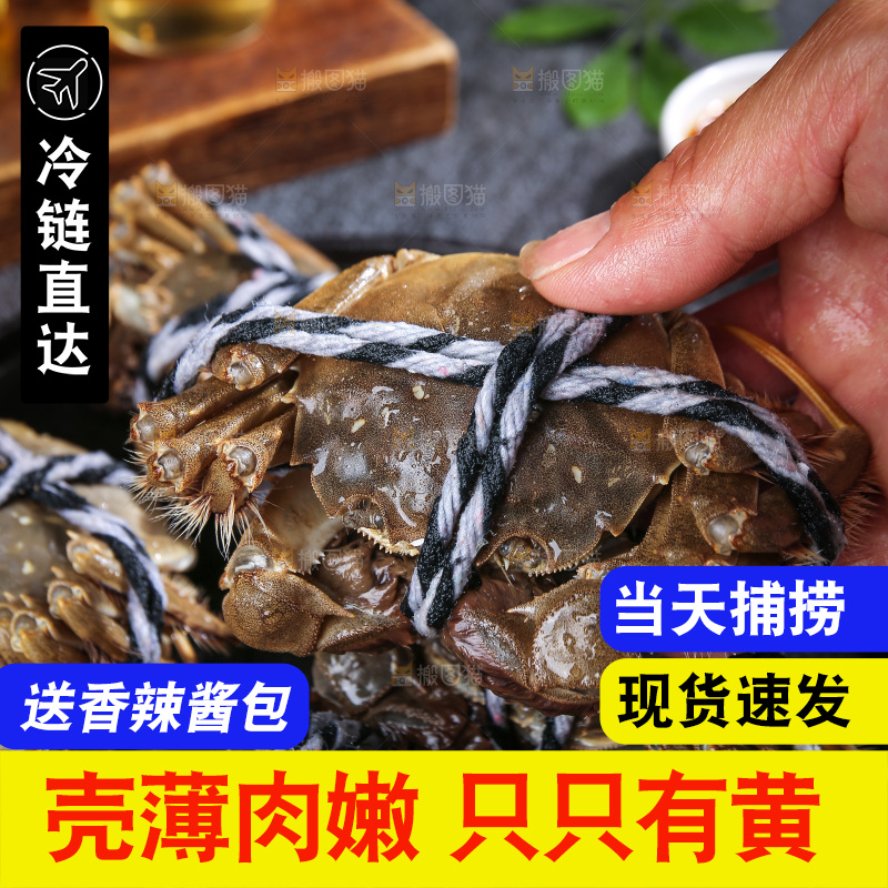 深底上的阳澄湖大闸蟹
