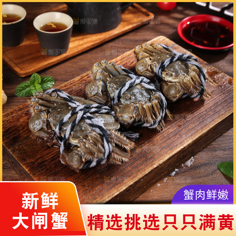深底上的新鲜大闸蟹
