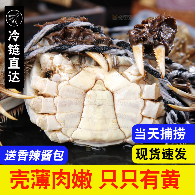 深底上的阳澄湖大闸蟹