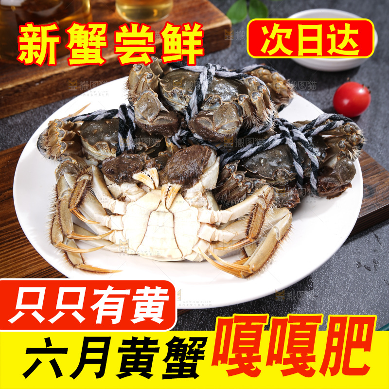 深底上的大闸蟹