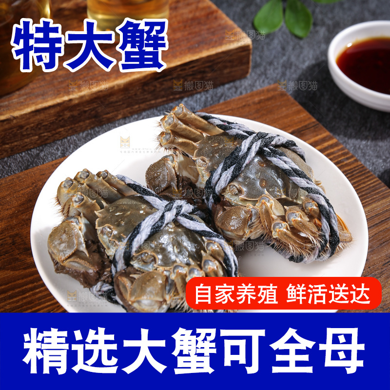 深底上的大闸蟹