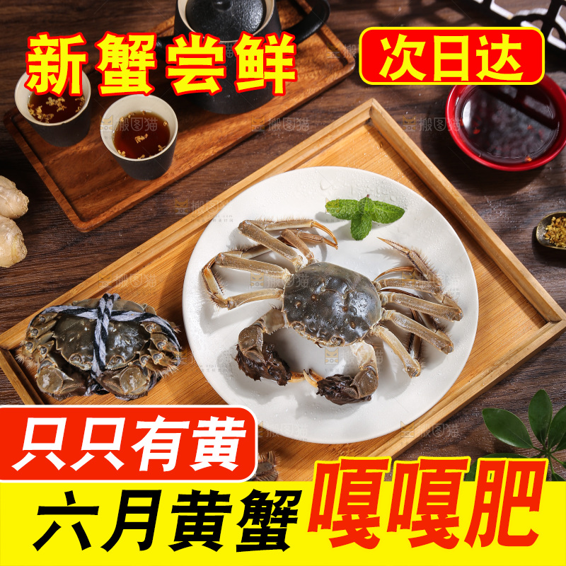 深底上的阳澄湖大闸蟹