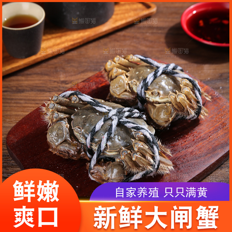 深底上的阳澄湖大闸蟹