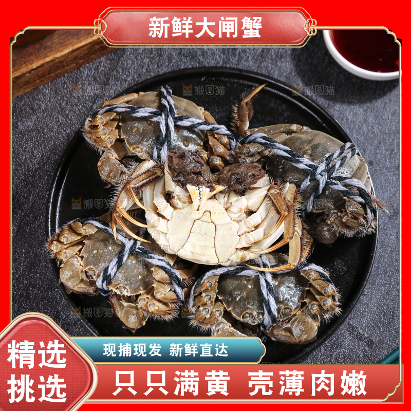 深底上的大闸蟹
