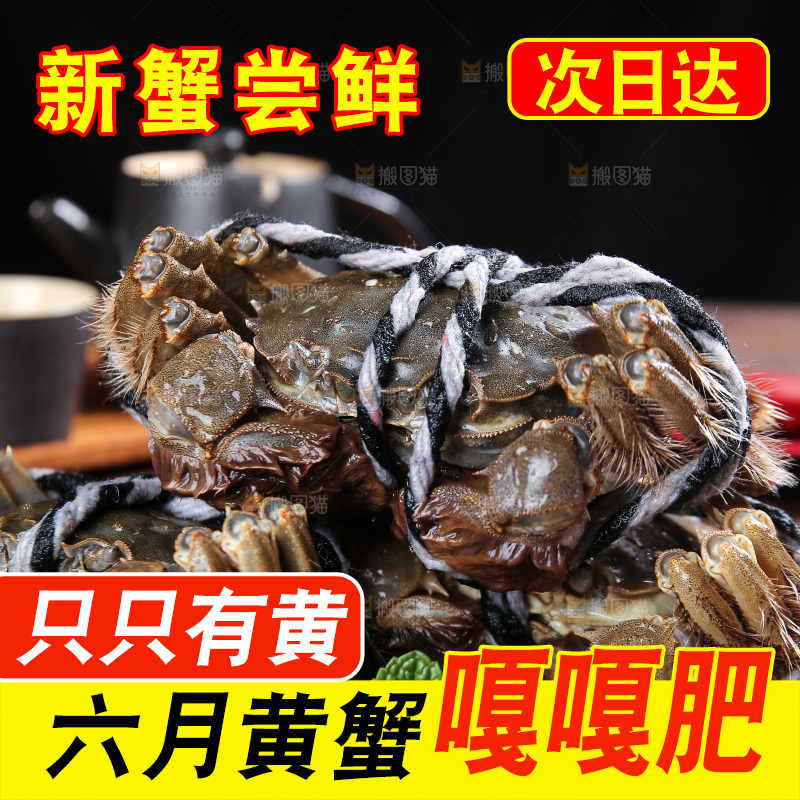 深底上的阳澄湖大闸蟹