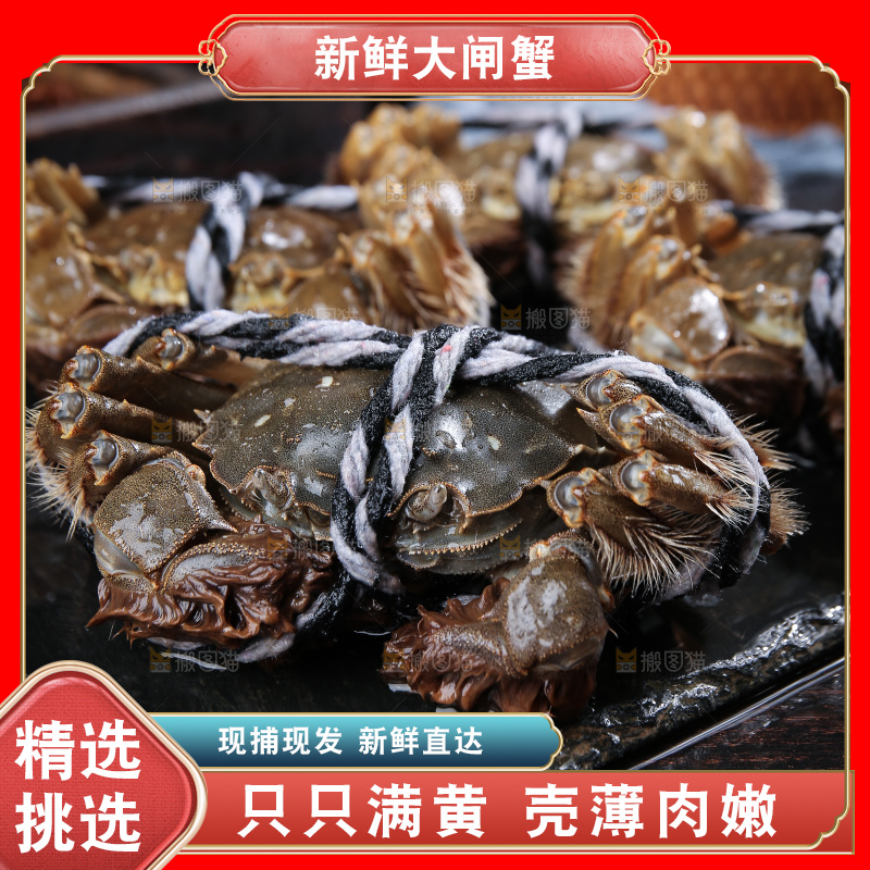 深底上的阳澄湖大闸蟹
