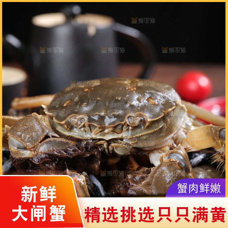 深底上的阳澄湖大闸蟹