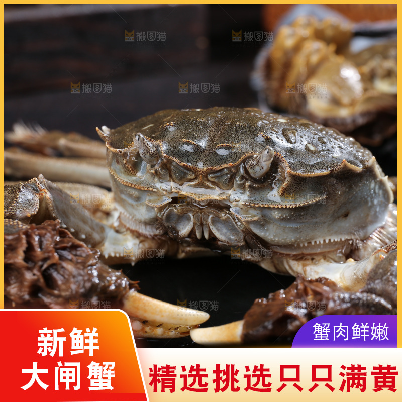 深底上的阳澄湖大闸蟹