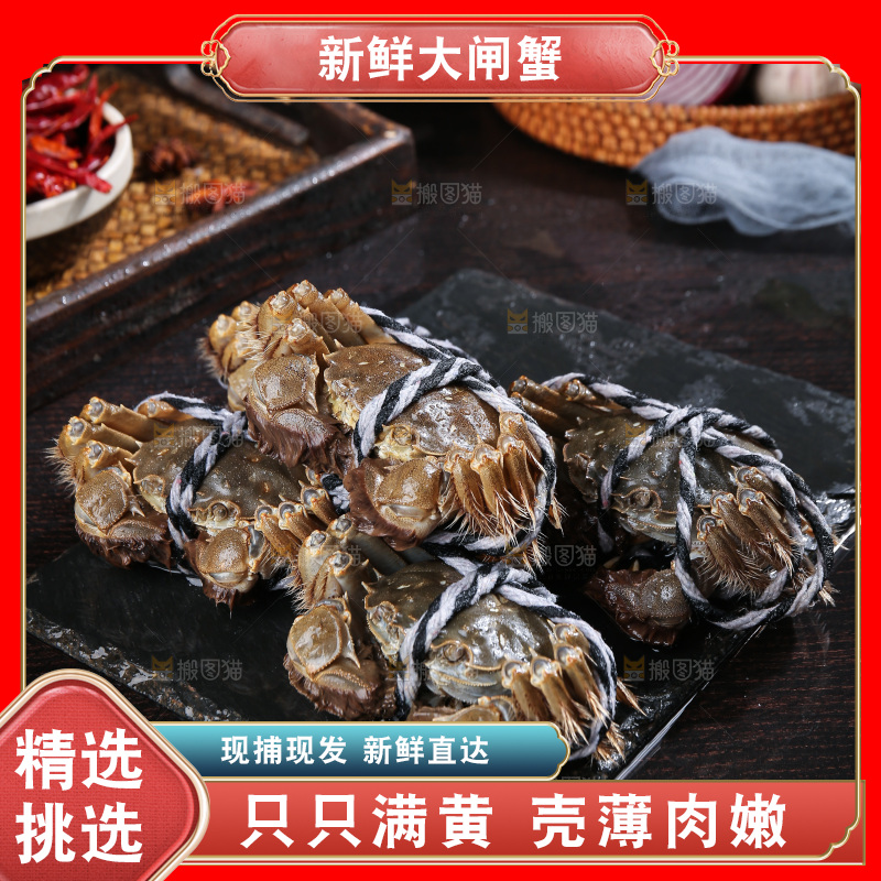 深底上的阳澄湖大闸蟹