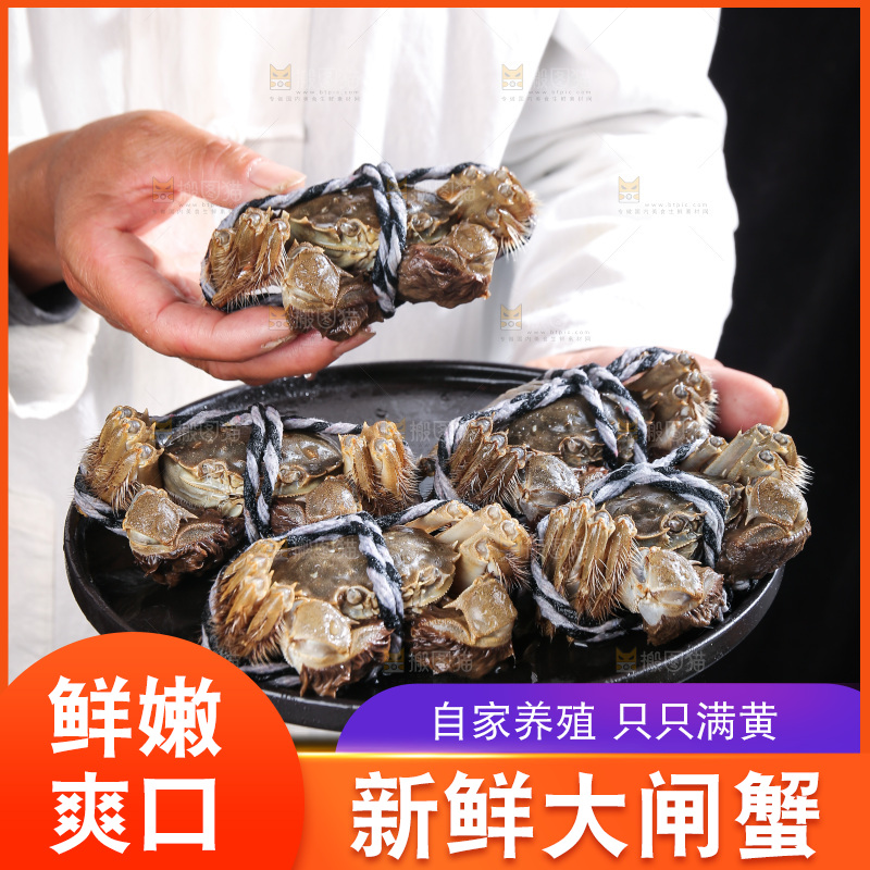 深底上的大闸蟹